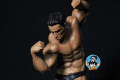 Imagem do Arnold schwarzenegger Pose 2