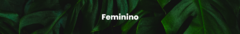 Banner da categoria Feminino