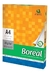 BOREAL 70G. CAJA X10 UNIDADES