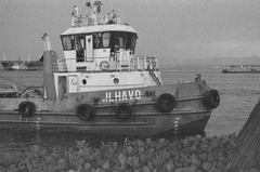 Barco Ilhavo
