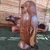 Escultura de Coruja - Jacarandá - loja online