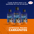 3 Shampoos Anti-Pulga Carrapaticida Mata-Carrapato Estrela - comprar online