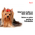 Kit Shampoo, Condicionador, Perfume Macho Pet Clean - loja online