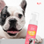 Limpa Carinha Limpador De Face Cães E Gato Pet Clean 150ml - bembempet