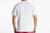 Camiseta Masculina Quiksilver logo checker 0693 na internet