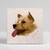 Placa Decorativa ArtRetro do seu Pet - comprar online