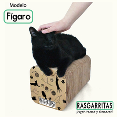 Fígaro - RASGARRITAS