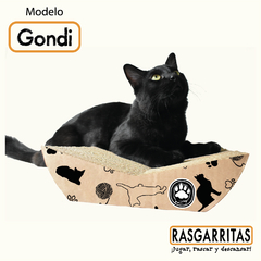 Gondi - RASGARRITAS