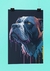 Poster - Dog - comprar online