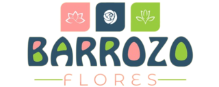 Barrozo Flores - Loja Online da Floricultura em Governador Valadares