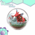 Imagen de Pokemon Pokebola Terrarium Collection 8