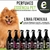 Perfume Essência Pet 60ml - fixação por até 1 semana (para cães e gatos) - comprar online