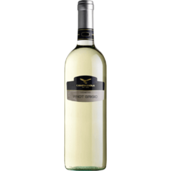 Pinot Grigio Delle Venezie DOC 2021