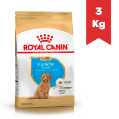 ROYAL CANIN PERRO CACHORRO CANICHE x 3Kg