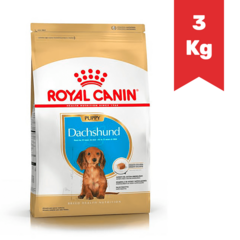 ROYAL CANIN PERRO CACHORRO DACHSHUND x 3Kg