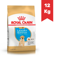 ROYAL CANIN PERRO CACHORRO LABRADOR RETRIEVER x 12Kg