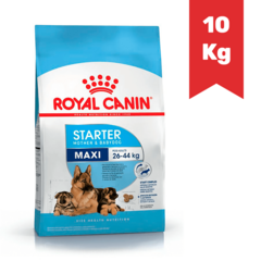 ROYAL CANIN PERRO STARTER MAXI x 10Kg