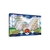 31335 POKEMON GO - BOX EEVEE RADIANTE