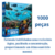 QUEBRA-CABECA CARTONADO CRIATURAS MARINHAS 1000PCS UNIDADE 2721 - TOYSTER na internet