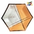 Plato polipapel hexagonal x6 de 22 cm en internet