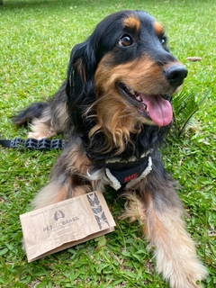 Saquinho de Papel Biodegradável - Pet Eco Brasil