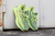 Adidas Yeezy Boost 350 V2 "Semi Franzen Yellow""  - comprar online