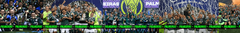 Banner da categoria Palmeiras