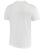 Camisa Canadá II 22/23 Versão Torcedor Nike Masculina - Branco - comprar online