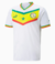 Camisa Senegal I 22/23 Versão Torcedor Puma Masculina - Branco