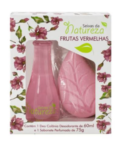 Combo Presente Frutas Vermelhas Seivas da Natureza