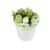 Mini Bebê Buquê verde poá branco
