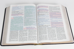 Bíblia King James De Estudo Atualizada - Kja1611 - Textos E Mapas Coloridos E Letras Gigantes - Capa Luxo Floral