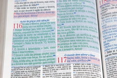 Bíblia King James De Estudo Atualizada - Kja1611 - Textos E Mapas Coloridos E Letras Gigantes - Capa Luxo Floral - comprar online