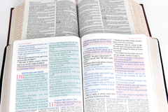 Bíblia King James De Estudo Atualizada - Kja1611 - Textos E Mapas Coloridos E Letras Gigantes - Capa Luxo Floral na internet