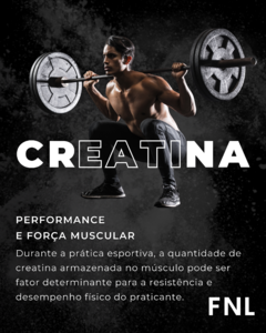 Creatina Monohidratada - 300g - online store