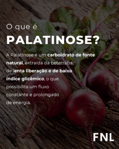 Palatinose™ - 300g na internet