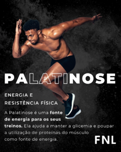 Palatinose™ - 300g - loja online