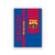 Quadro Futebol Barcelona - Mono Personalizados