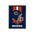 Quadro NFL Chicago Bears