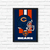 Quadro NFL Chicago Bears - comprar online