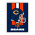 Quadro NFL Chicago Bears - Mono Personalizados