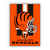 Quadro NFL Cincinnati Bengals - Mono Personalizados