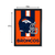 Quadro NFL Denver Broncos na internet