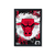 Quadro NBA Chicago Bulls