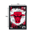 Quadro NBA Chicago Bulls na internet