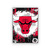 Quadro NBA Chicago Bulls - Mono Personalizados