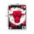 Imagem do Quadro NBA Chicago Bulls