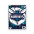 Quadro NBA Charlotte Hornets - Mono Personalizados