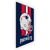 Quadro NFL New England Patriots - loja online