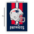 Imagem do Quadro NFL New England Patriots